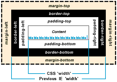 CSS Box Model